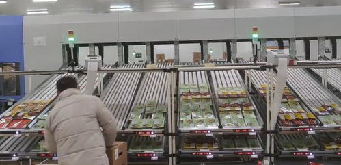 數(shù)智驅(qū)動,轉(zhuǎn)型有 力 食品工業(yè)智能物流解決方案