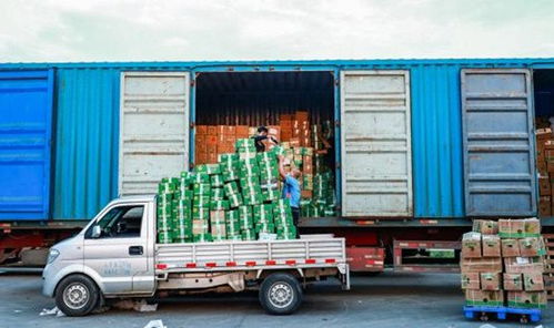 電商扎堆愛心助農(nóng),淘寶拔得頭籌做對了什么