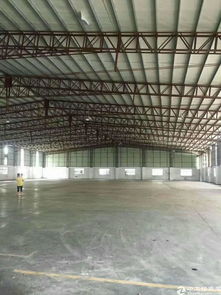 虎門港全新物流廠地6650平方,滴水十米,帶全新卸貨平臺,